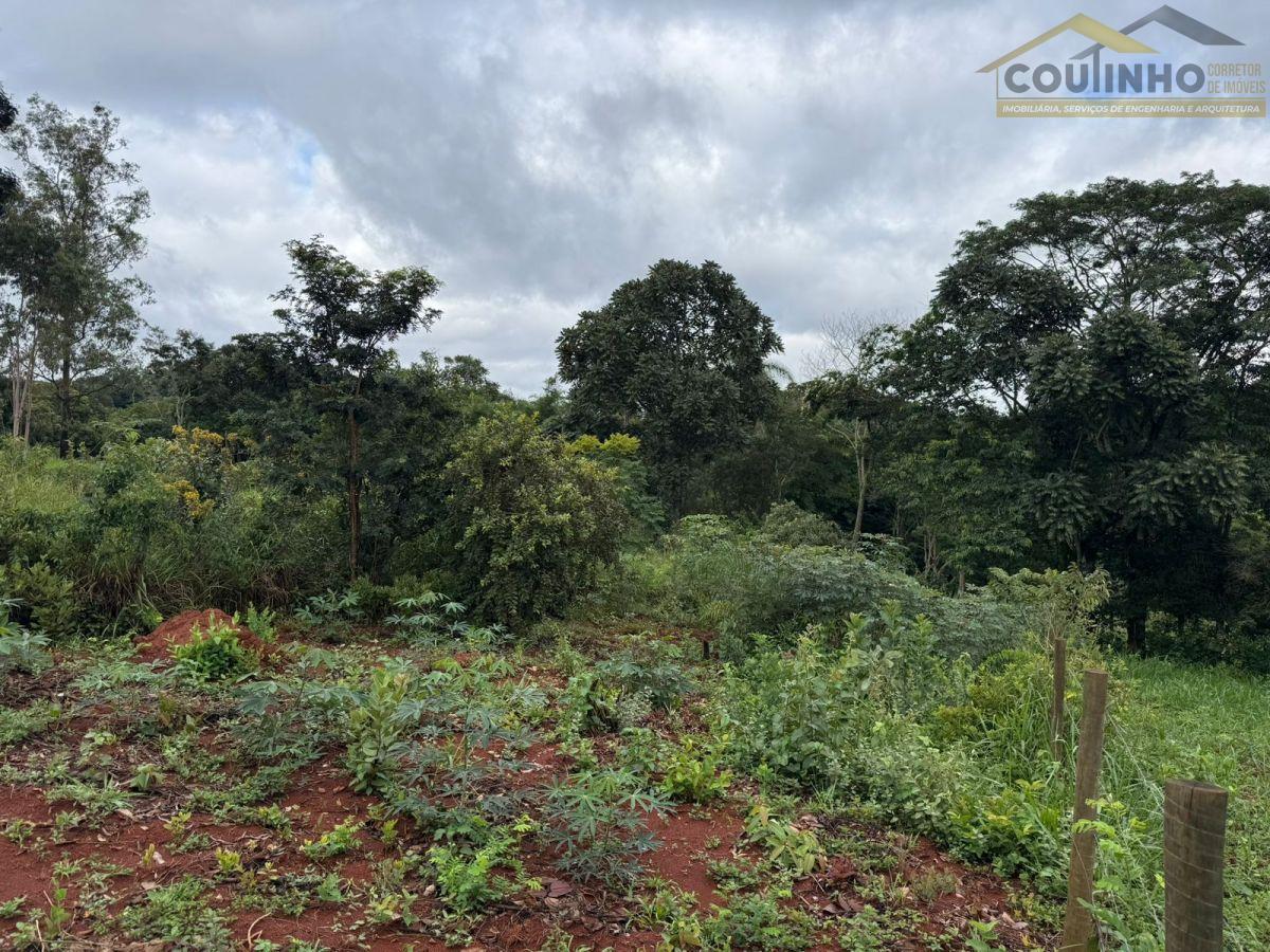 WhatsApp Image 2026-02-08 at 16.03.19 (2).jpeg